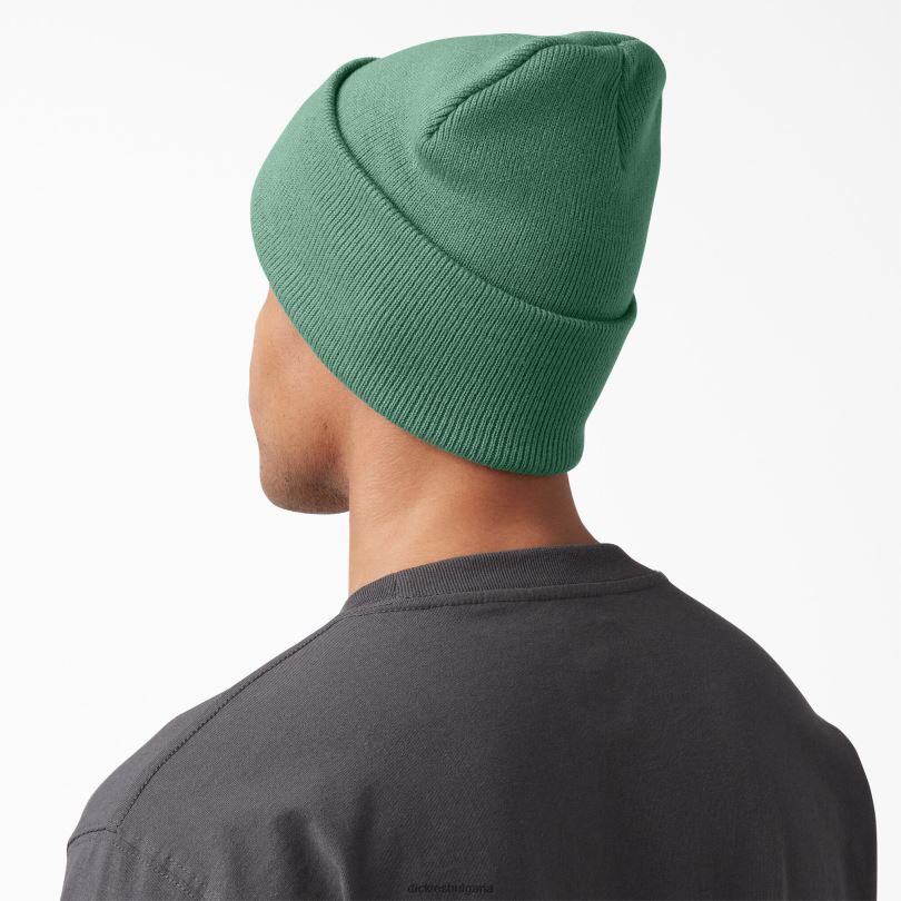 унисекс Dickies плетена шапка с маншети тъмен бръшлян (d2i) аксесоари R2PH81484