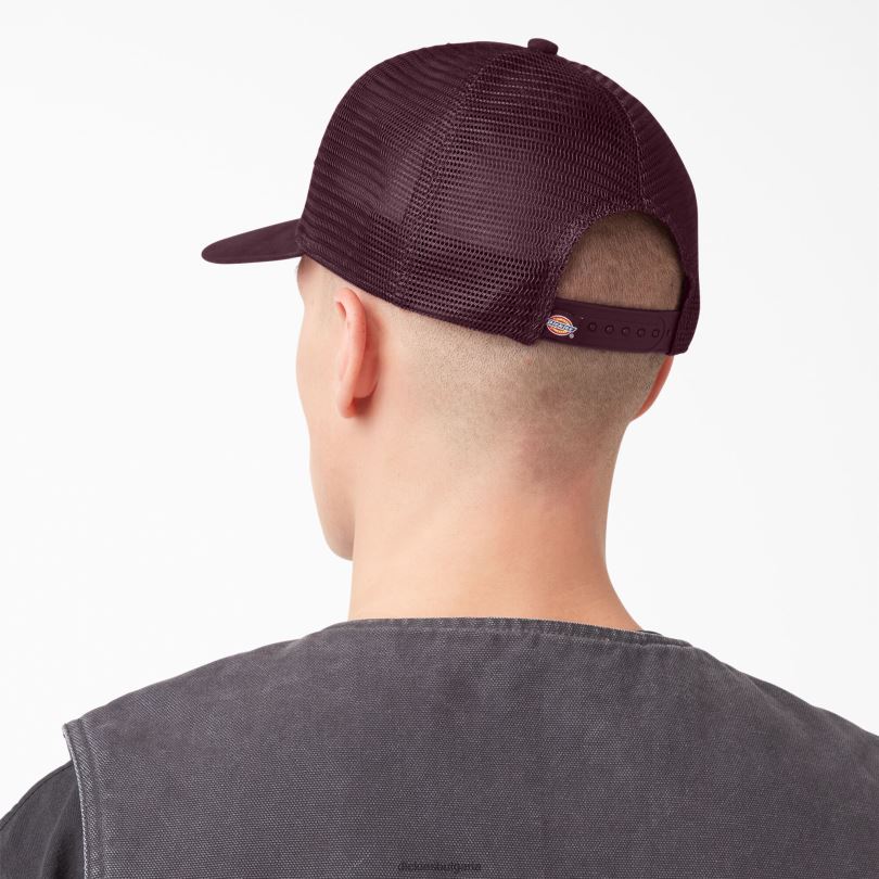 унисекс Dickies кръпка с лого на шофьор на камион кестеняво (г-н) аксесоари R2PH82909