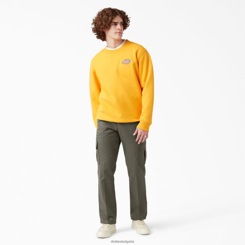 мъже Dickies гъвкави обикновени карго панталони зелен мъх (ms) облекло R2PH839