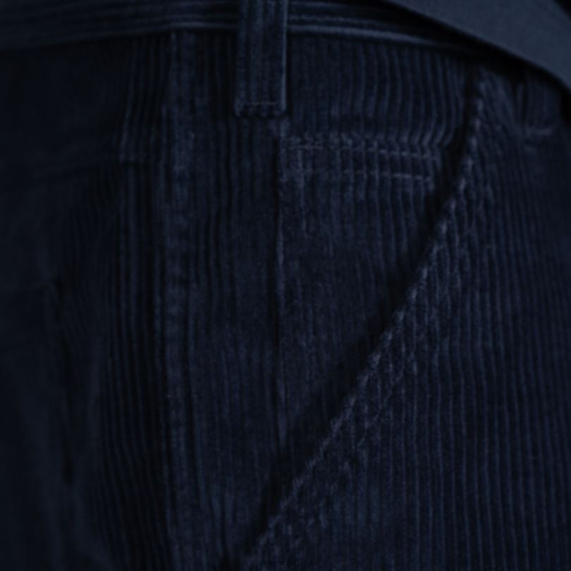 мъже Dickies рипсени къси панталони jake hayes 13