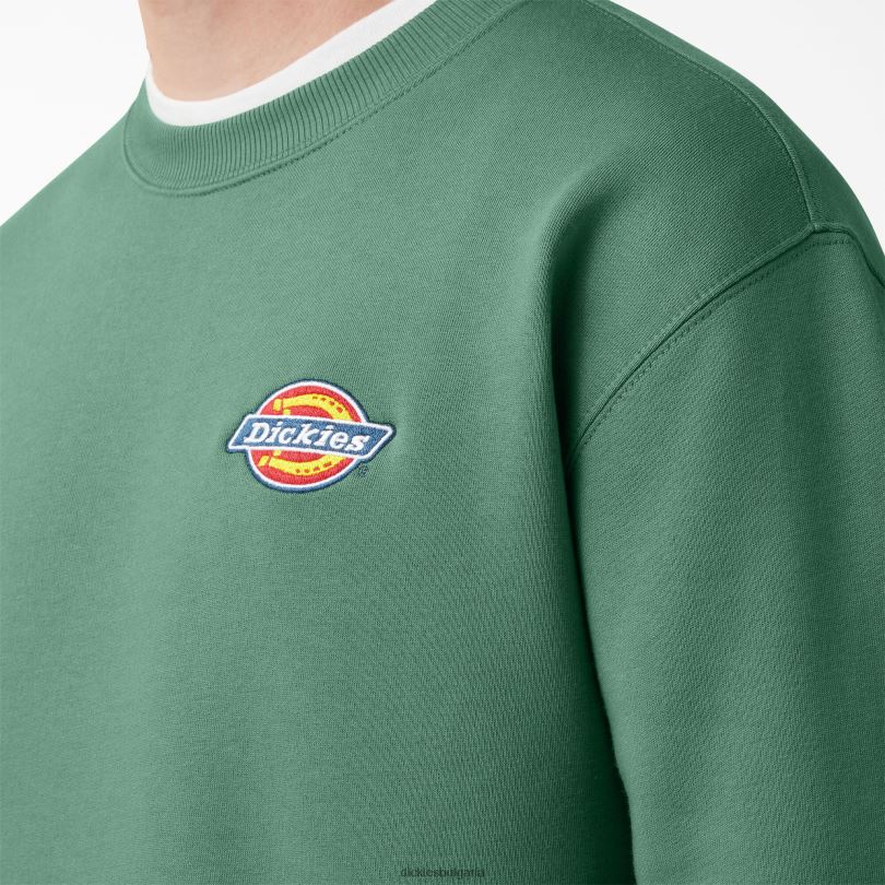 мъже Dickies суичър с бродирано лого на гърдите редовен облекло R2PH81130
