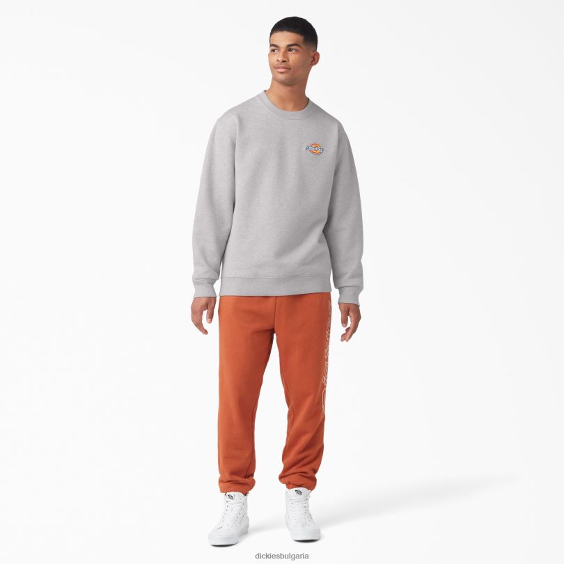 мъже Dickies суичър с бродирано лого на гърдите редовен облекло R2PH81131