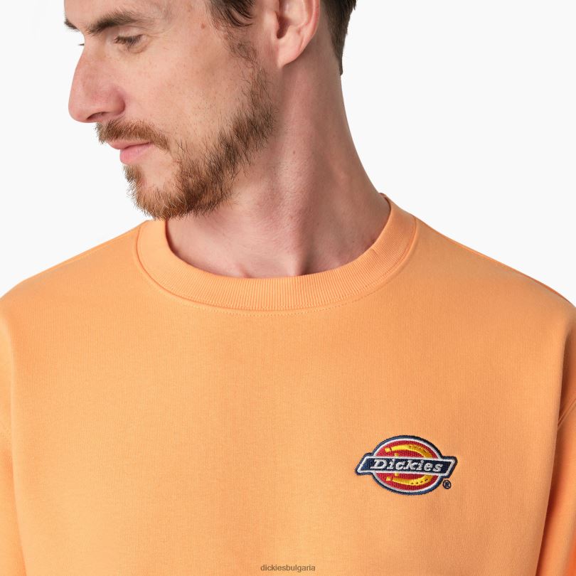 мъже Dickies суичър с бродирано лого на гърдите редовен облекло R2PH81133