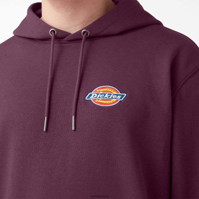 мъже Dickies качулка с бродирано лого на гърдите редовен облекло R2PH81207