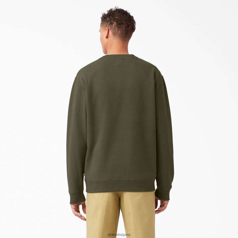 мъже Dickies суичър с графично лого от полар редовен облекло R2PH81213