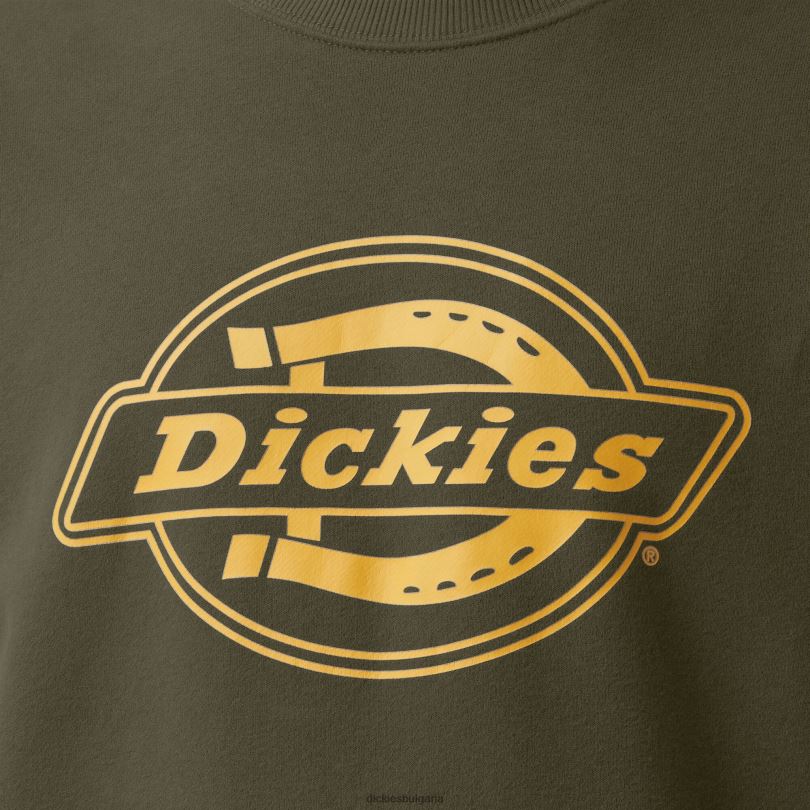 мъже Dickies суичър с графично лого от полар редовен облекло R2PH81213