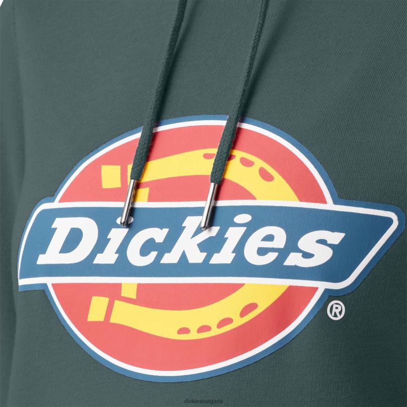 Жени Dickies тежък пуловер с лого линкълн грийн (лн) облекло R2PH82332