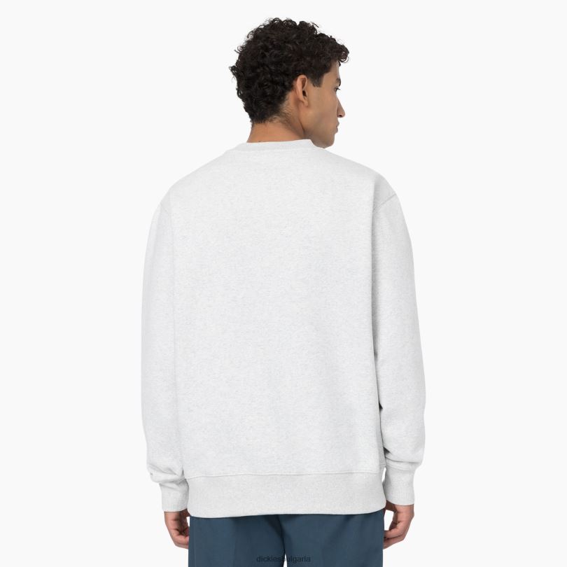 мъже Dickies суитшърт Summerdale хедър сиво (hg) облекло R2PH8974