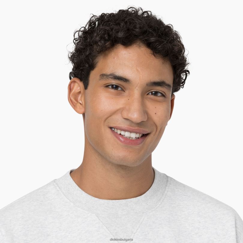 мъже Dickies суитшърт Summerdale хедър сиво (hg) облекло R2PH8974