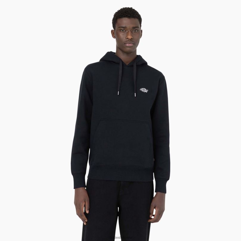 мъже Dickies качулка Summerdale черно (kbk) облекло R2PH81183