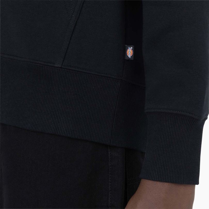 мъже Dickies качулка Summerdale черно (kbk) облекло R2PH81183