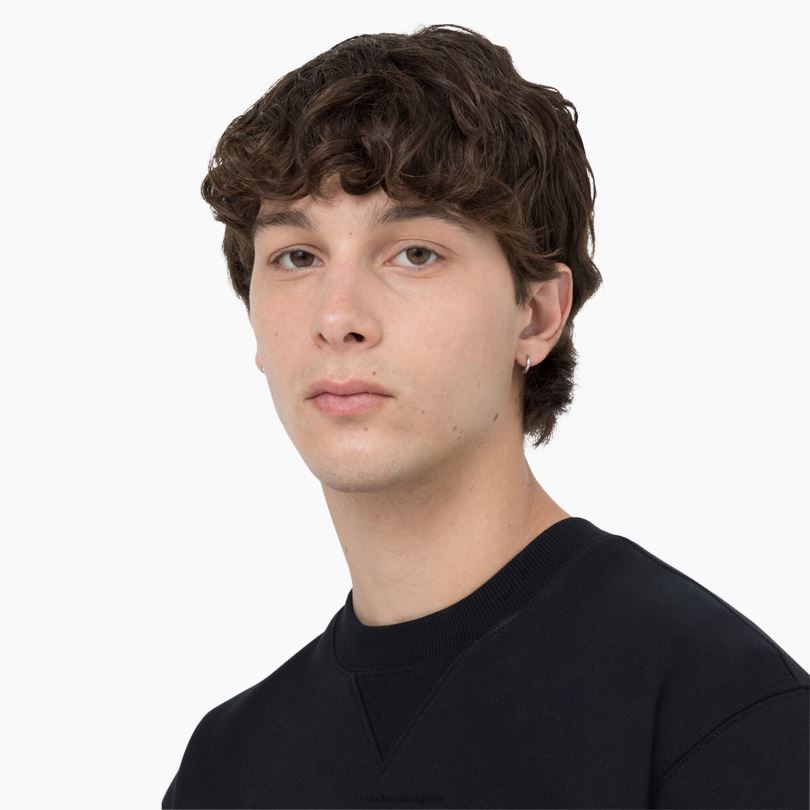 мъже Dickies суитшърт Summerdale черно (kbk) облекло R2PH8975