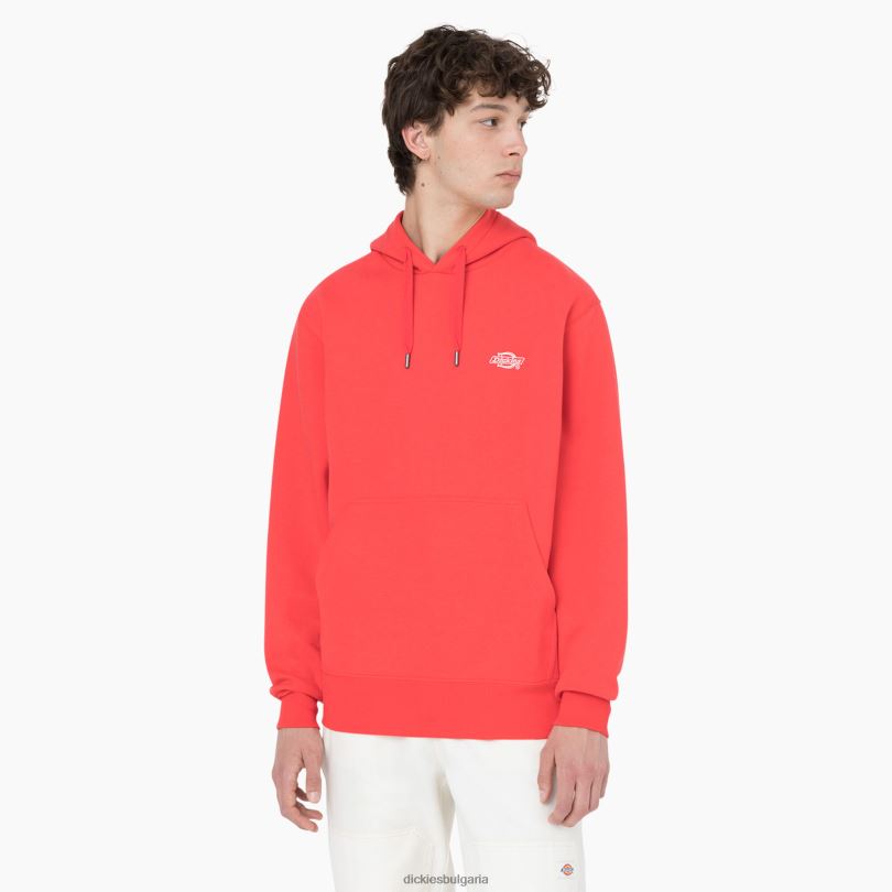мъже Dickies качулка Summerdale червен ибис (s2s) облекло R2PH81184