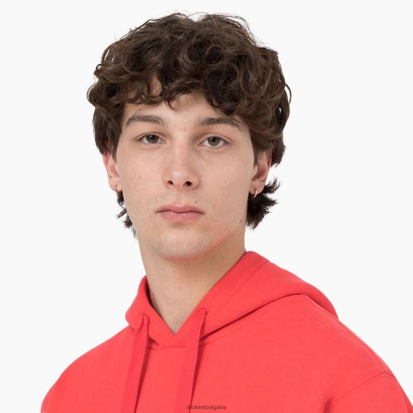 мъже Dickies качулка Summerdale червен ибис (s2s) облекло R2PH81184