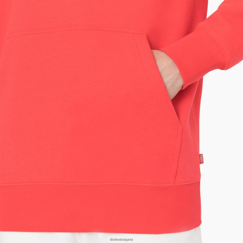 мъже Dickies качулка Summerdale червен ибис (s2s) облекло R2PH81184