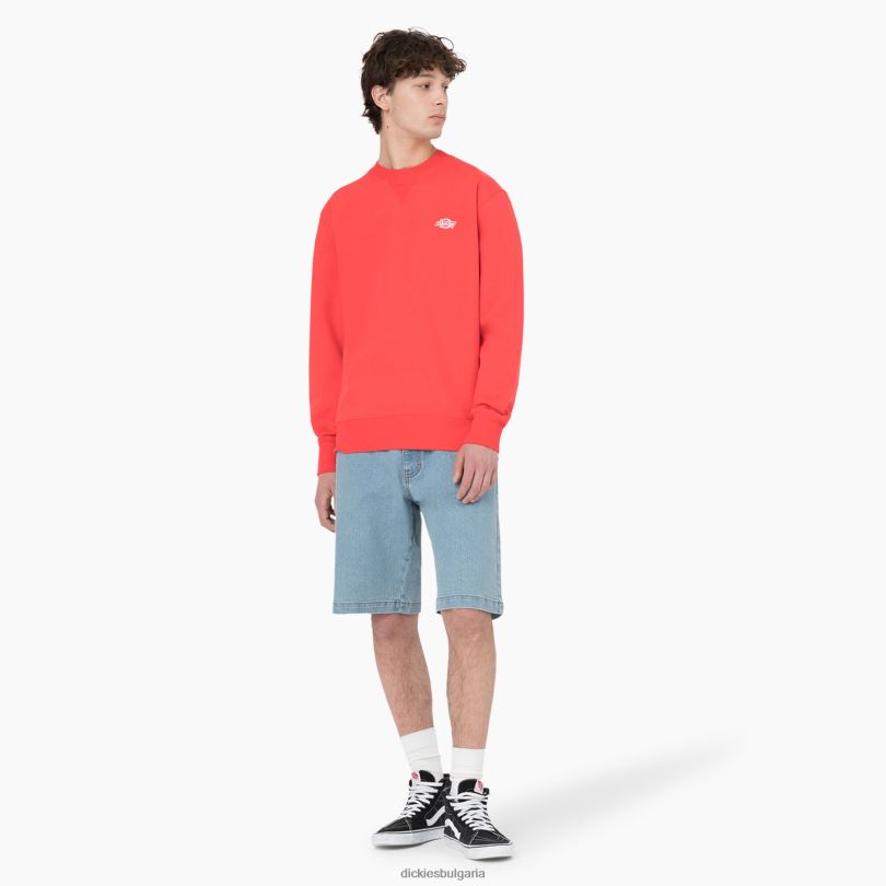 мъже Dickies суитшърт Summerdale червен ибис (s2s) облекло R2PH8976