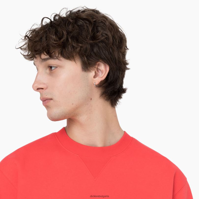 мъже Dickies суитшърт Summerdale червен ибис (s2s) облекло R2PH8976