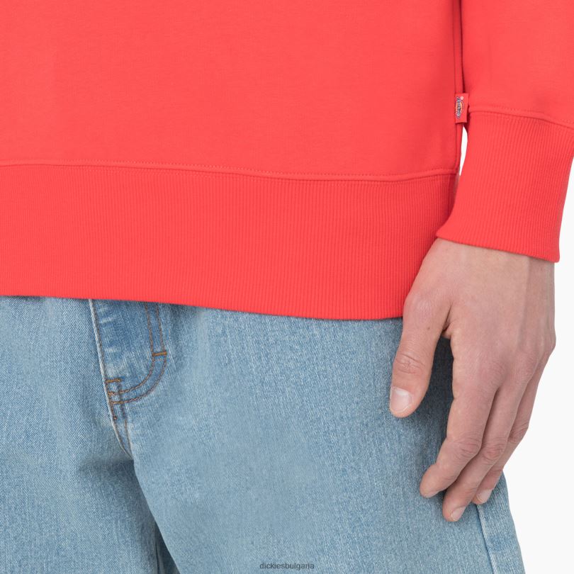 мъже Dickies суитшърт Summerdale червен ибис (s2s) облекло R2PH8976