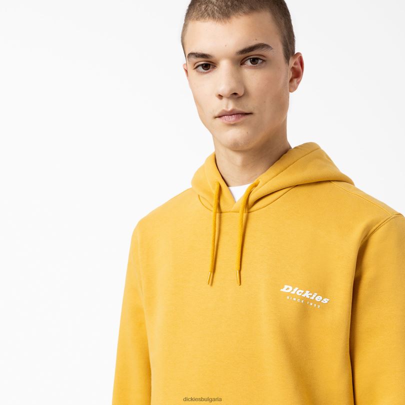 мъже Dickies графичен качулка camden box редовен облекло R2PH81166