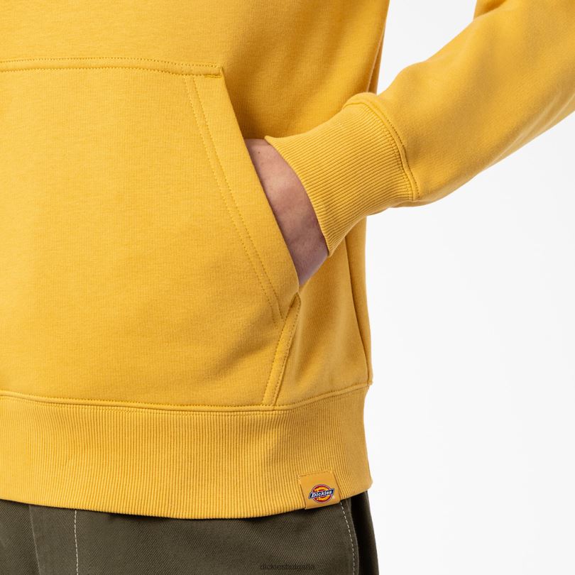 мъже Dickies графичен качулка camden box редовен облекло R2PH81166