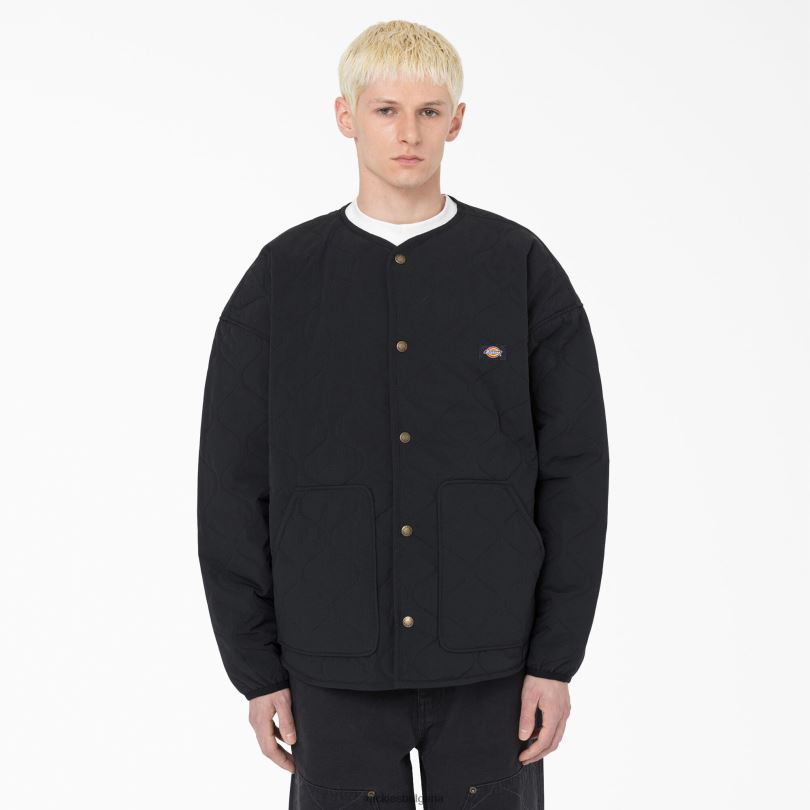 мъже Dickies thorsby liner яке черен (bkx) облекло R2PH81111