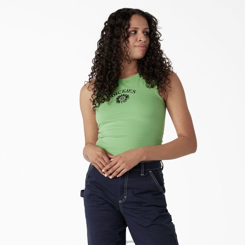 Жени Dickies графичен изрязан потник ябълка мента (ar2) облекло R2PH82111