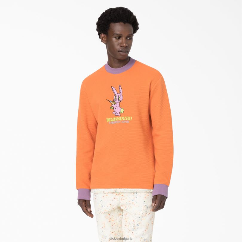 мъже Dickies плетен пуловер с бродирани вафли в мозъчна смърт изгорял портокал (до 1) облекло R2PH8731