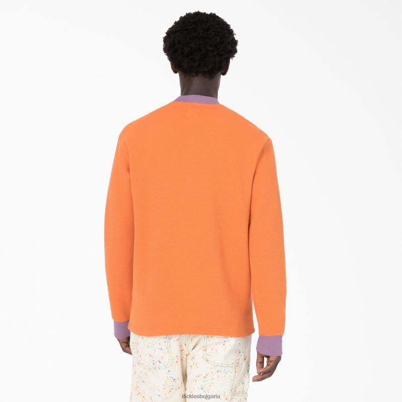 мъже Dickies плетен пуловер с бродирани вафли в мозъчна смърт изгорял портокал (до 1) облекло R2PH8731
