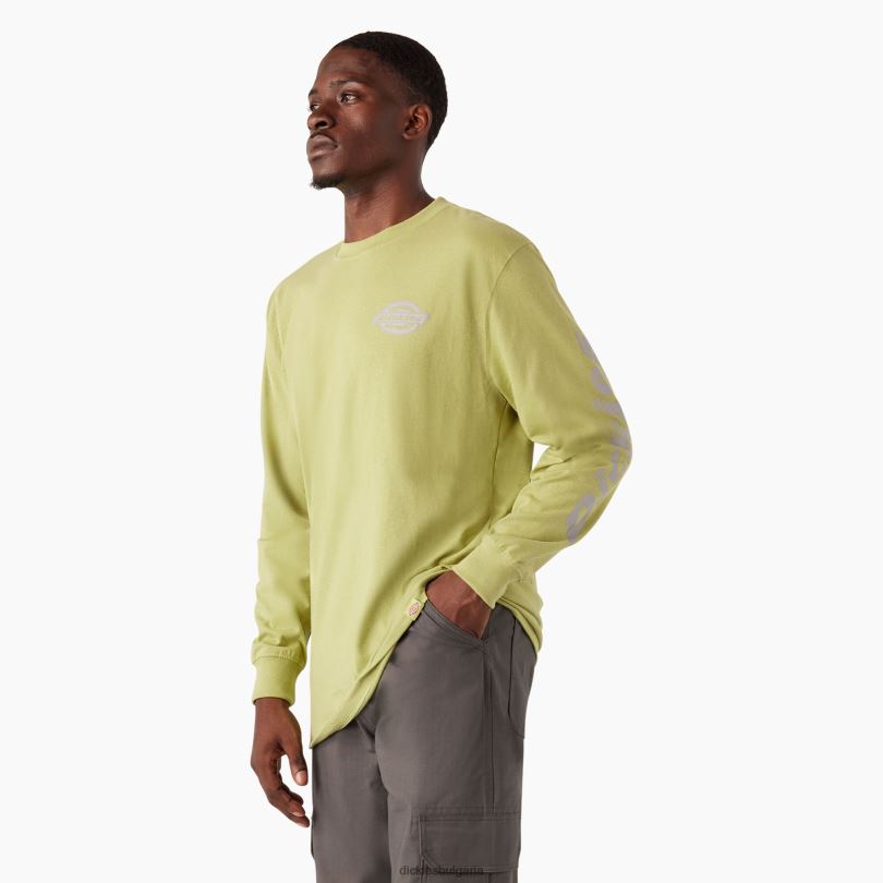 мъже Dickies тениска с лого за тежка категория с дълъг ръкав папрат хедър (f2h) облекло R2PH8869