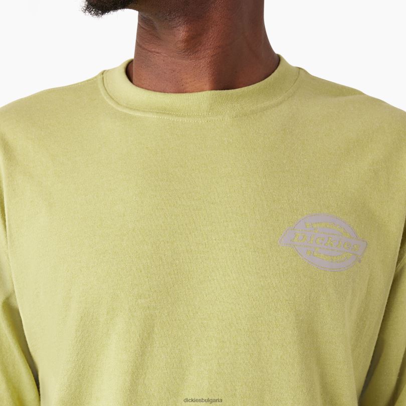 мъже Dickies тениска с лого за тежка категория с дълъг ръкав папрат хедър (f2h) облекло R2PH8869