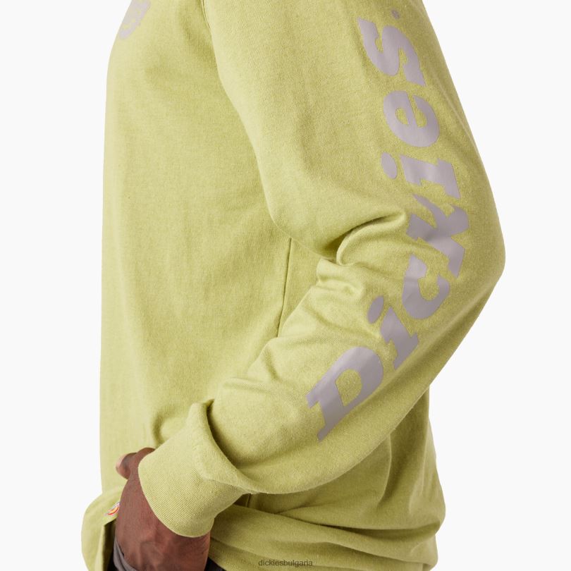 мъже Dickies тениска с лого за тежка категория с дълъг ръкав папрат хедър (f2h) облекло R2PH8869