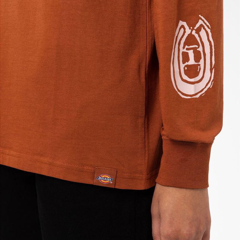 Жени Dickies тениска с дълъг ръкав falkville джинджифилово кафяво (т.е.) облекло R2PH82163