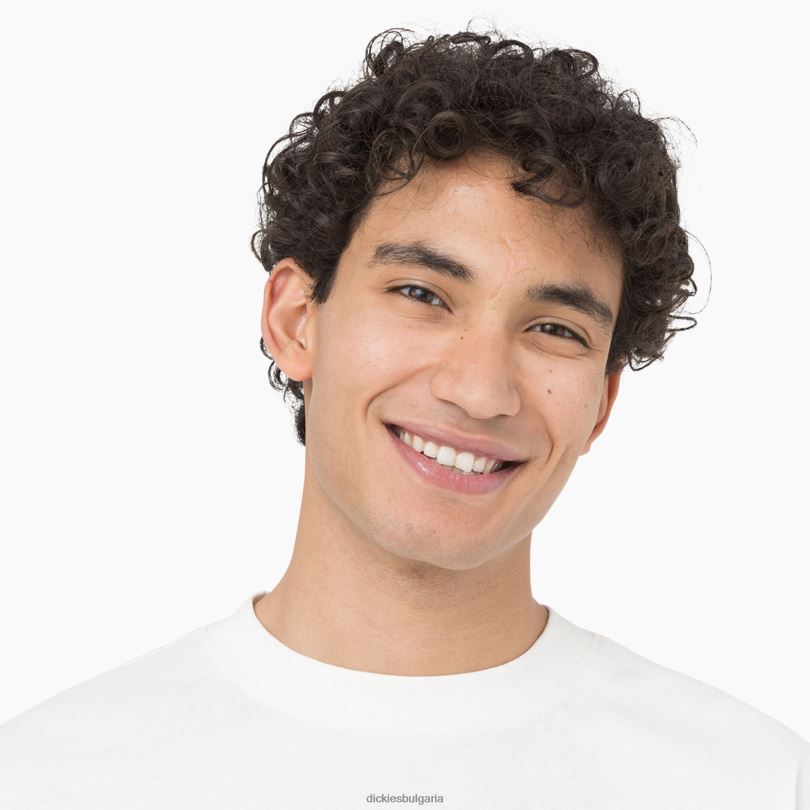 мъже Dickies тениска с дълъг ръкав oatfield облак (cl9) облекло R2PH8805