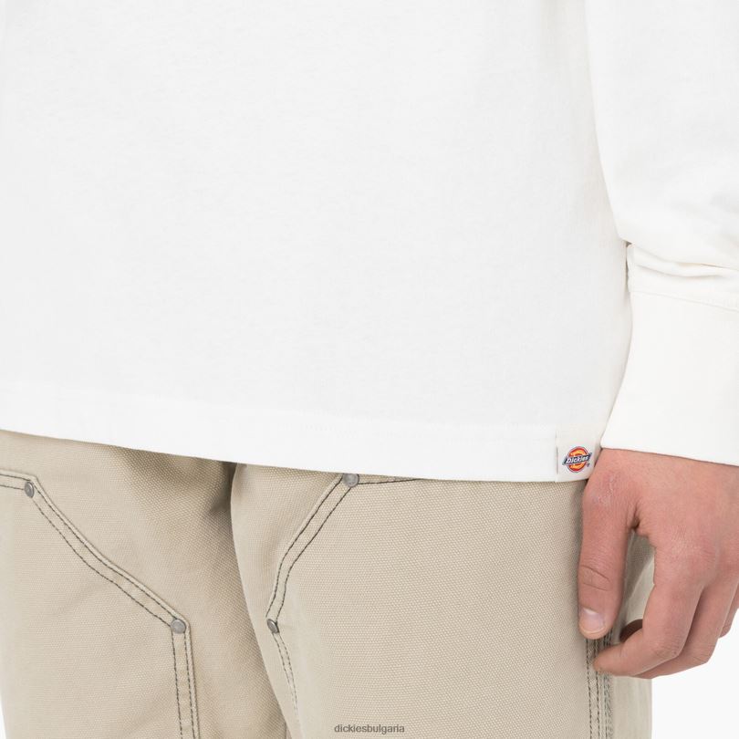 мъже Dickies тениска с дълъг ръкав oatfield облак (cl9) облекло R2PH8805