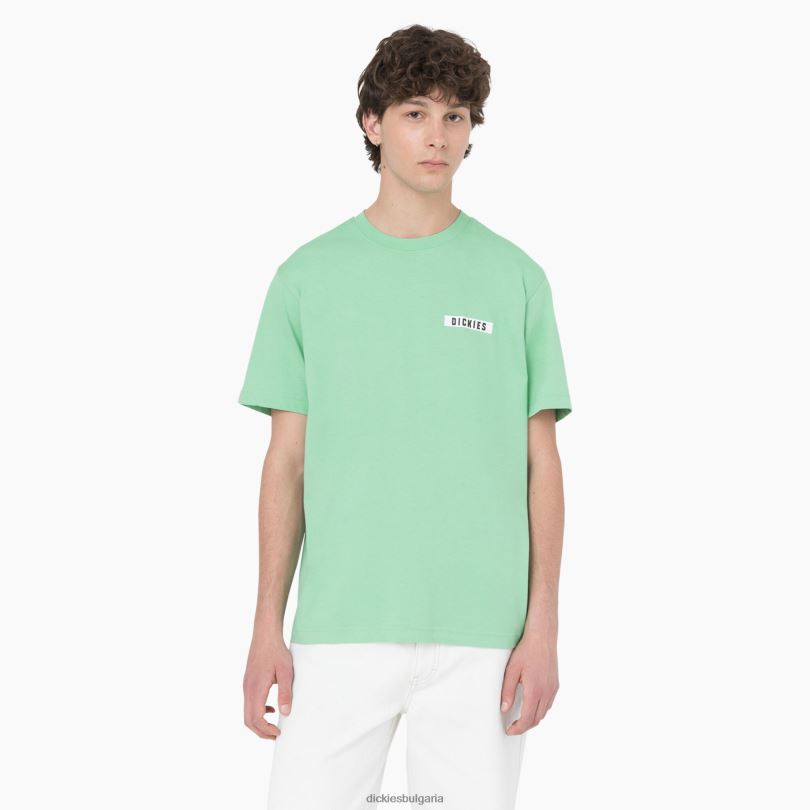 мъже Dickies тениска с къс ръкав Baker City ябълка мента (ar2) облекло R2PH8882