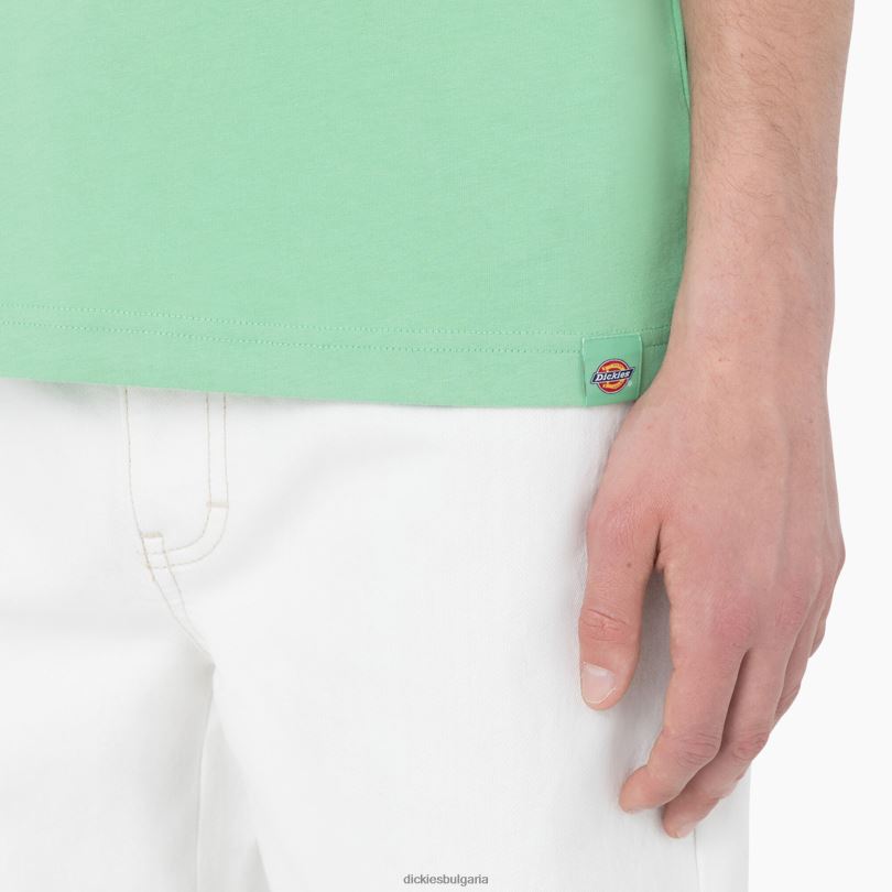 мъже Dickies тениска с къс ръкав Baker City ябълка мента (ar2) облекло R2PH8882