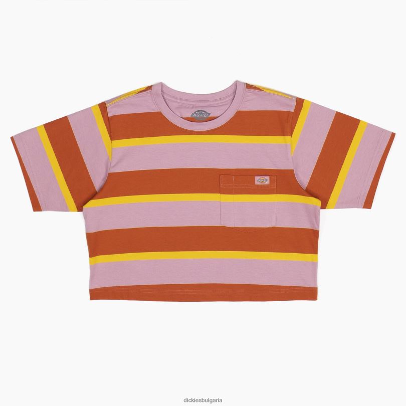 Жени Dickies изрязана тениска на райета Ginger Fox Collegiate stripe (xsr) облекло R2PH82017