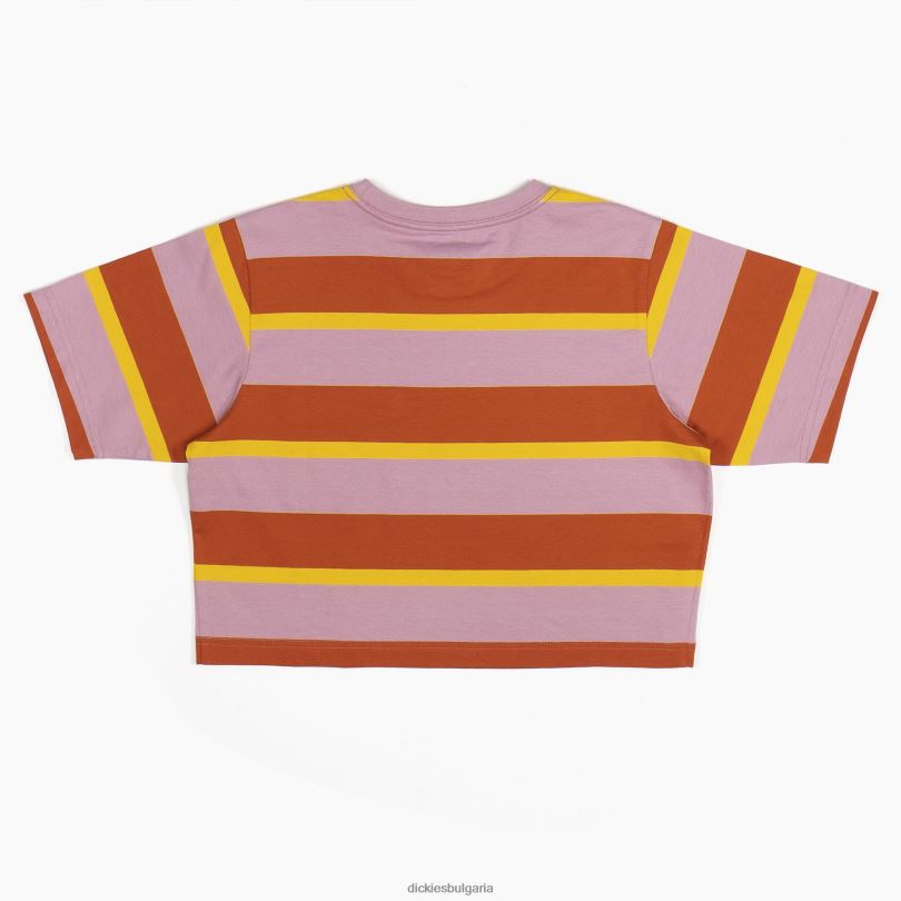 Жени Dickies изрязана тениска на райета Ginger Fox Collegiate stripe (xsr) облекло R2PH82017