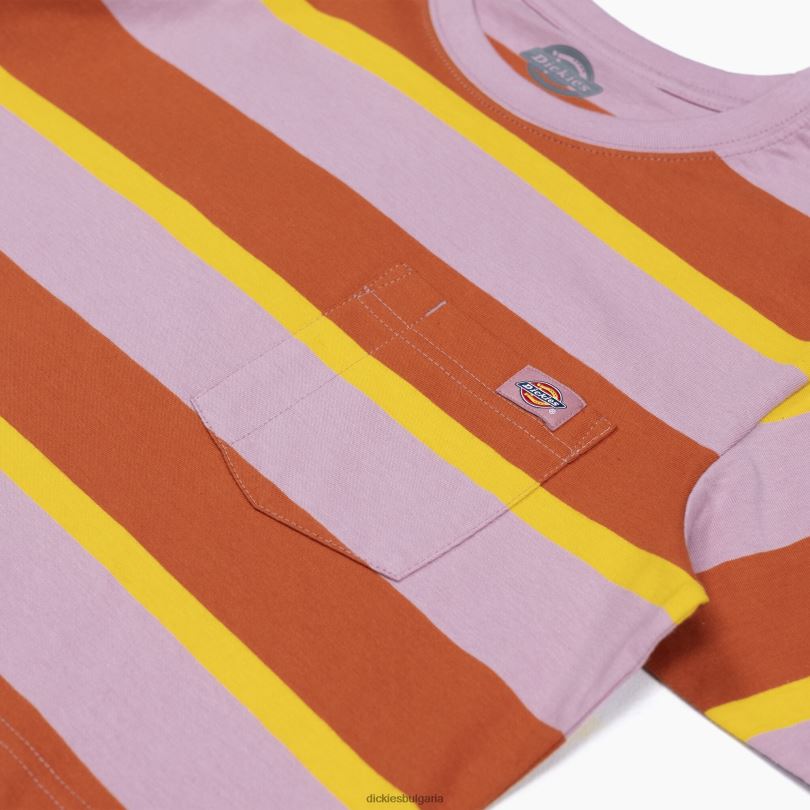 Жени Dickies изрязана тениска на райета Ginger Fox Collegiate stripe (xsr) облекло R2PH82017