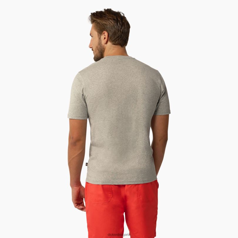 мъже Dickies тениска с къс ръкав Mapleton хедър сиво (hg) облекло R2PH8819