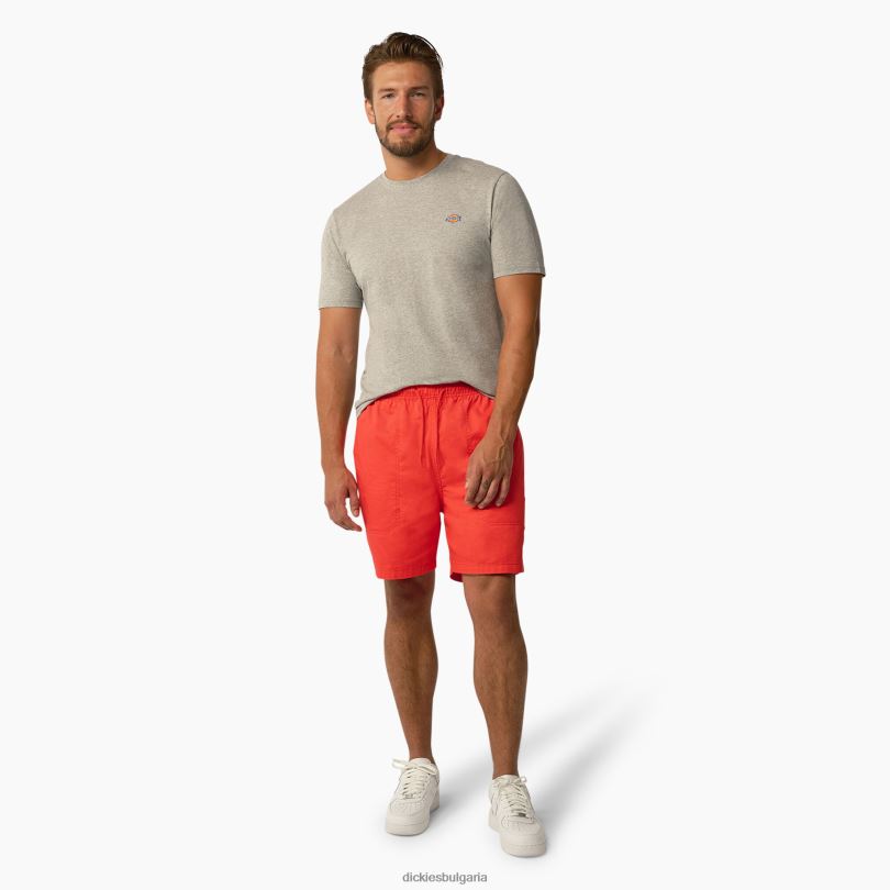 мъже Dickies тениска с къс ръкав Mapleton хедър сиво (hg) облекло R2PH8819