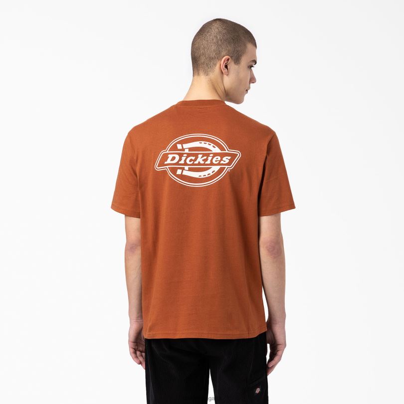 мъже Dickies тениска с графично лого на гърба джинджифилово кафяво (т.е.) облекло R2PH8748
