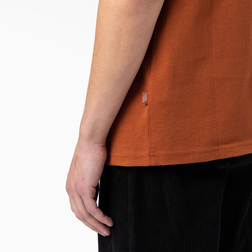 мъже Dickies тениска с графично лого на гърба джинджифилово кафяво (т.е.) облекло R2PH8748