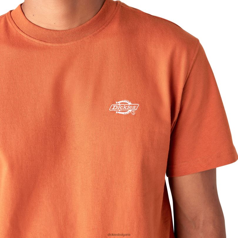 мъже Dickies тениска с къс ръкав Summerdale бомбейско кафяво (b2b) облекло R2PH8581