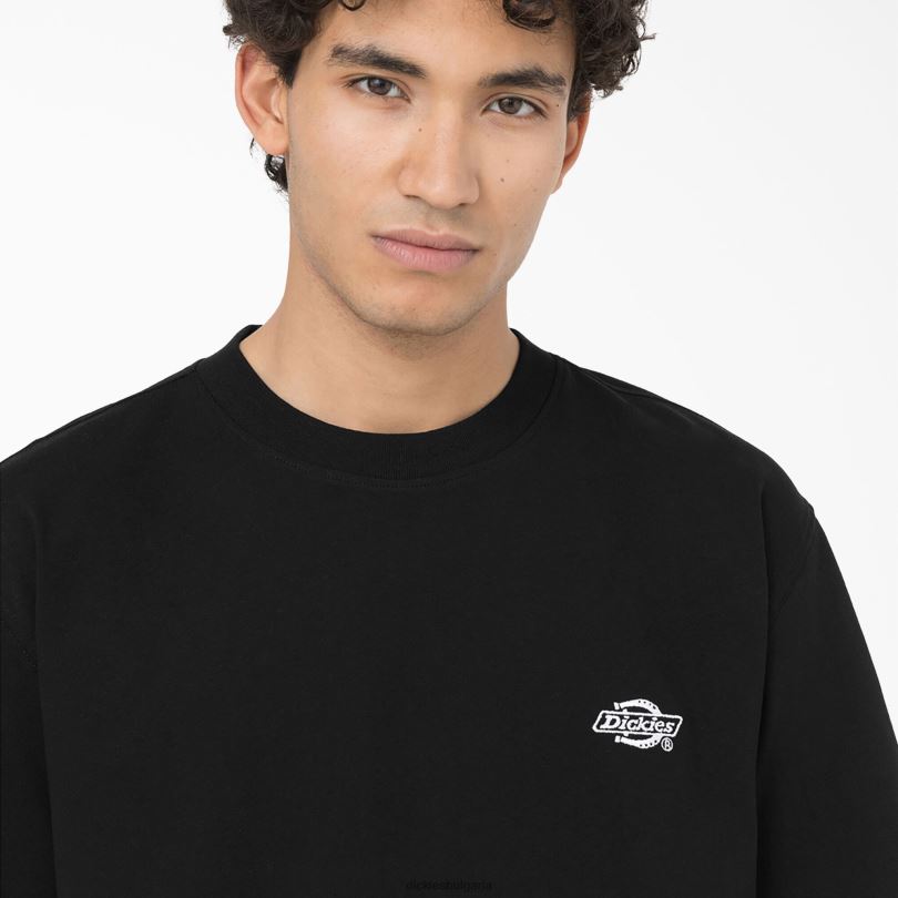 мъже Dickies тениска с къс ръкав Summerdale черен (bkx) облекло R2PH8579