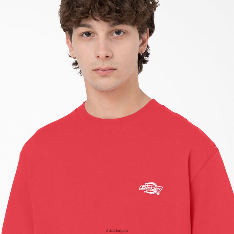 мъже Dickies тениска с къс ръкав Summerdale горчиво (bw2) облекло R2PH8580