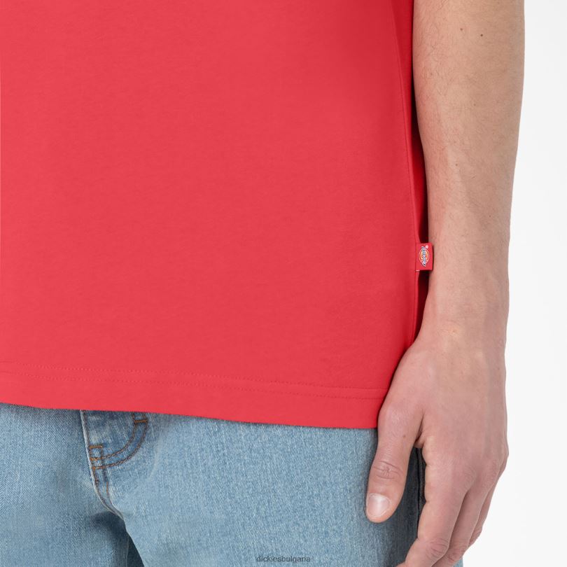 мъже Dickies тениска с къс ръкав Summerdale горчиво (bw2) облекло R2PH8580