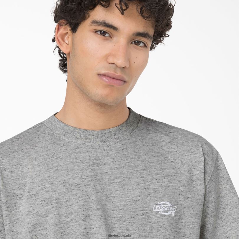 мъже Dickies тениска с къс ръкав Summerdale хедър сиво (hg) облекло R2PH8582