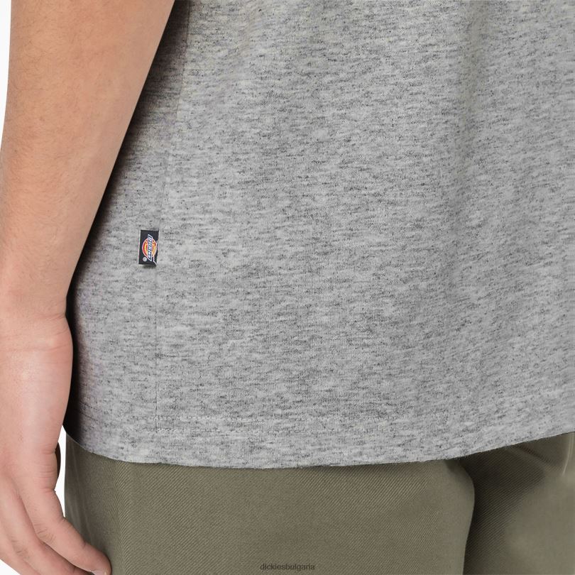 мъже Dickies тениска с къс ръкав Summerdale хедър сиво (hg) облекло R2PH8582