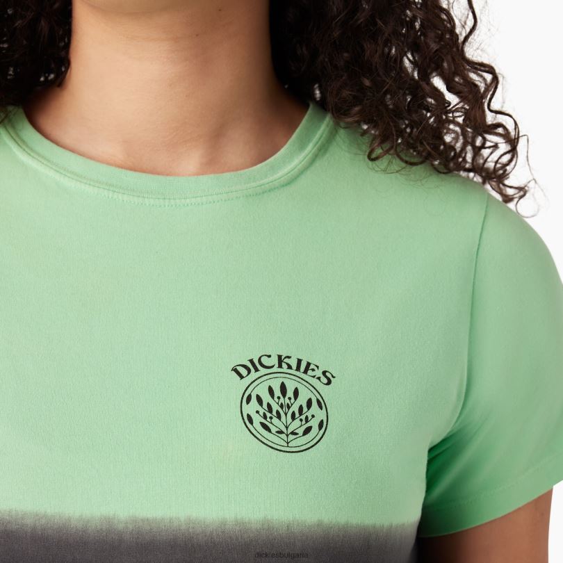 Жени Dickies омбре изрязана тениска ябълкова мента/черна боя (amd) облекло R2PH82181